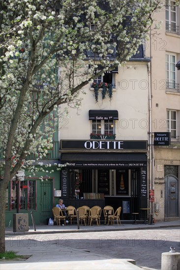 Paris, pâtisserie "Odette"