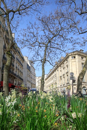 Paris, filming location for the "Emily in Paris" series