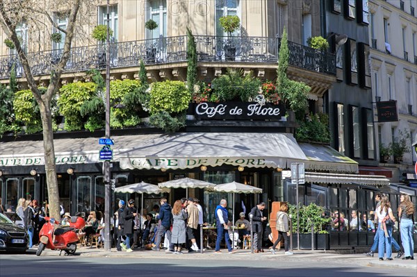 Paris, Café de Flore