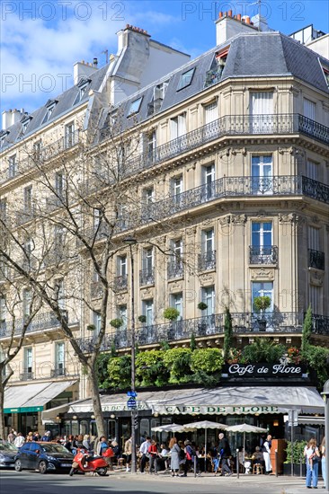 Paris, Café de Flore