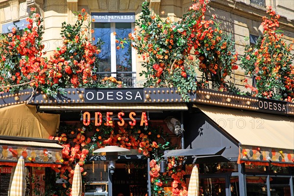 Paris, Odessa café