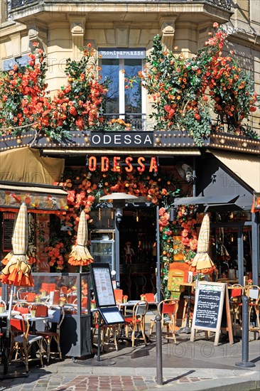 Paris, Odessa café