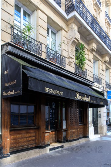 Paris, bar Rosebud