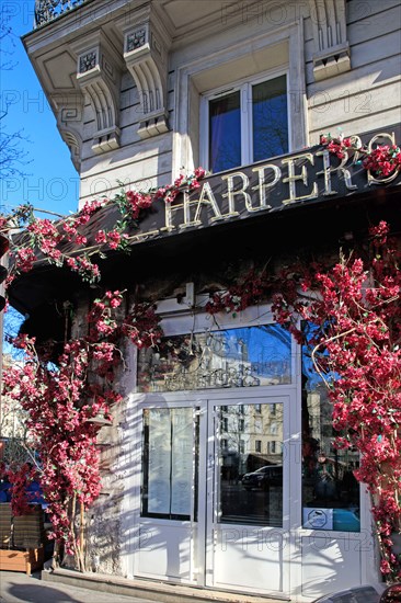 Paris, Harper's café