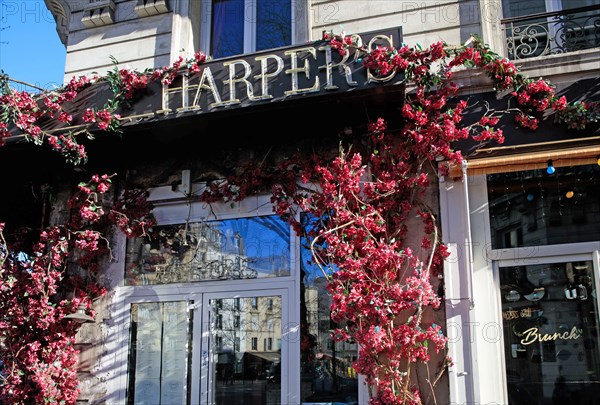 Paris, Harper's café