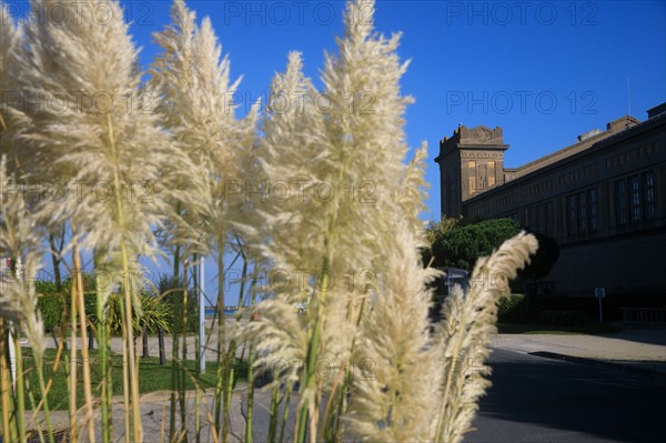 Cherbourg-en-Cotentin, Manche