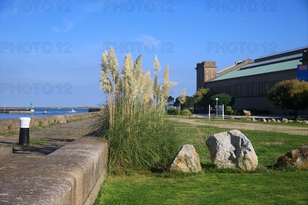 Cherbourg-en-Cotentin, Manche