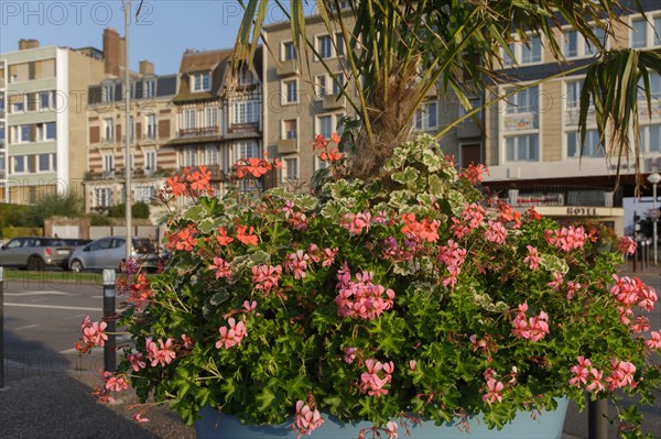 Dieppe, Seine-Maritime