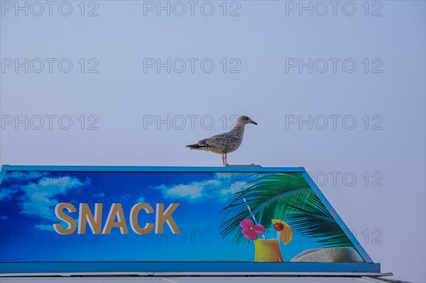 Dieppe, Seine-Maritime