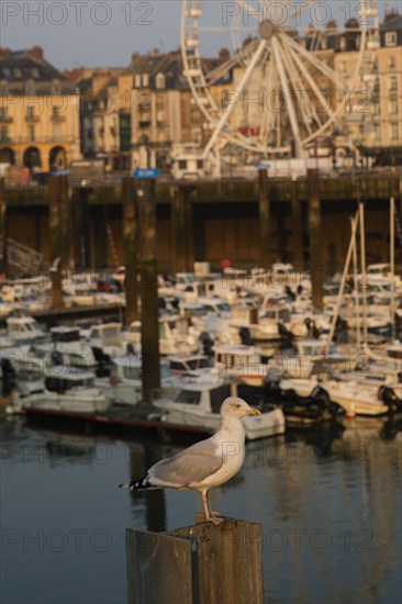 Dieppe, Seine-Maritime