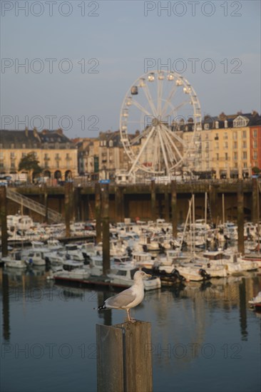 Dieppe, Seine-Maritime