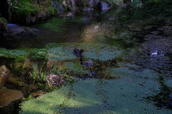 Dieppe, Seine-Maritime
