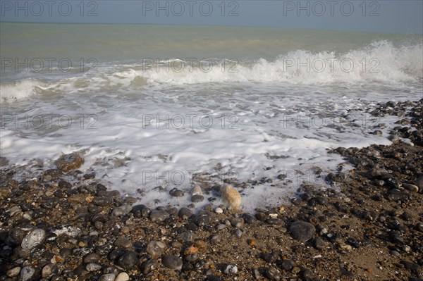 Quiberville-sur-Mer, Seine-Maritime