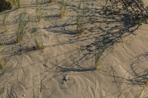 Langrune-sur-Mer, Calvados