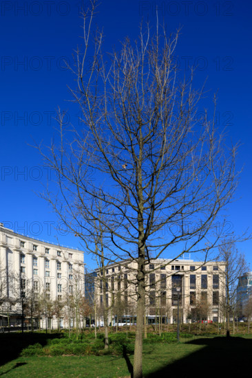 Paris, place de Catalogne