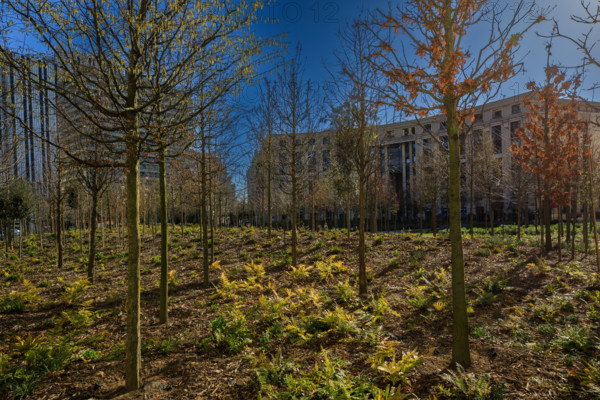 Paris, place de Catalogne