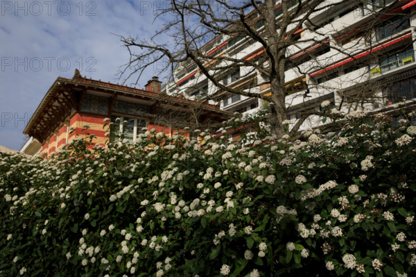 Paris, rue Gazan