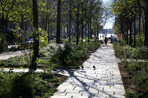 Paris, boulevard Pasteur