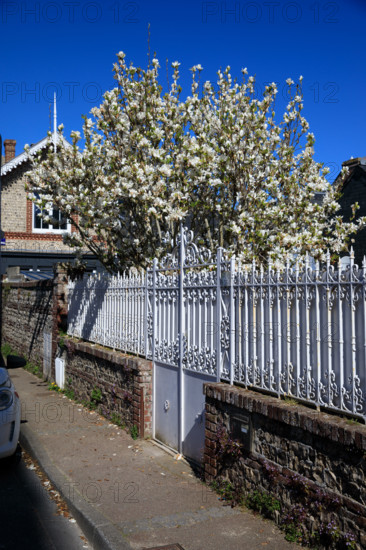 Yport, Seine-Maritime