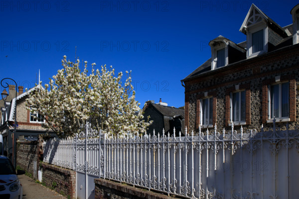 Yport, Seine-Maritime