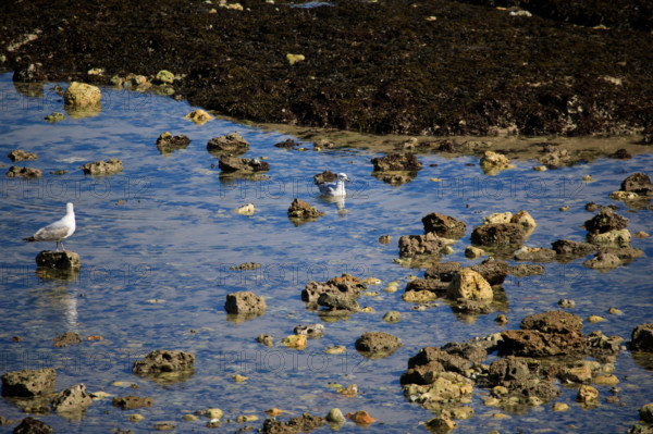 Yport, Seine-Maritime