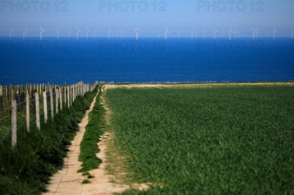 La Poterie-Cap d'Antifer, Seine-Maritime