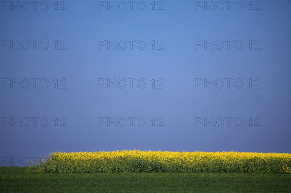 La Poterie-Cap d'Antifer, Seine-Maritime