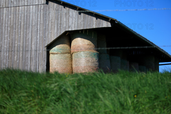 La Poterie-Cap d'Antifer, Seine-Maritime