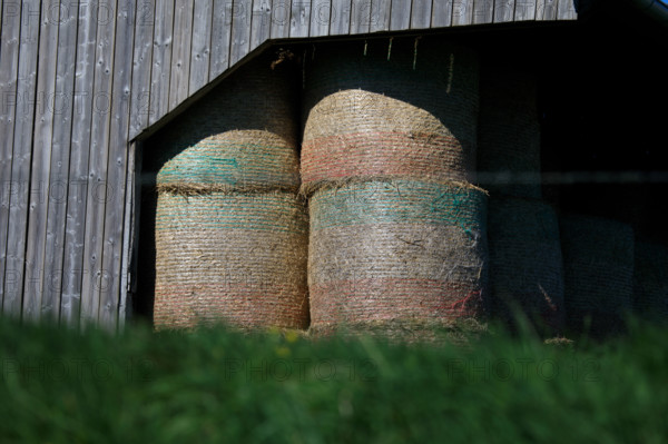 La Poterie-Cap d'Antifer, Seine-Maritime