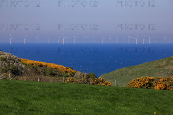 La Poterie-Cap d'Antifer, Seine-Maritime