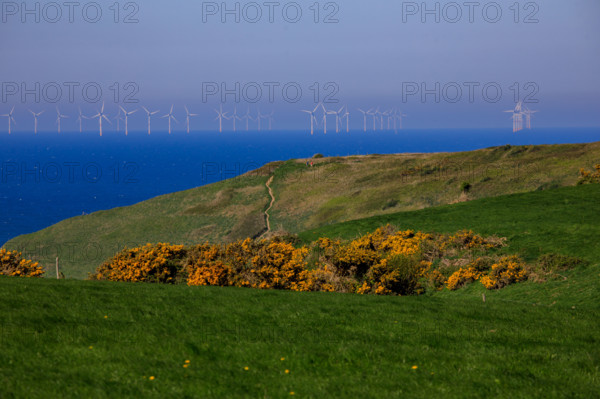 La Poterie-Cap d'Antifer, Seine-Maritime