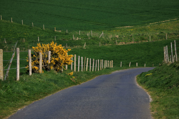 La Poterie-Cap d'Antifer, Seine-Maritime