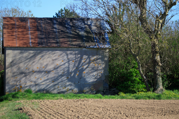 La Poterie-Cap d'Antifer, Seine-Maritime