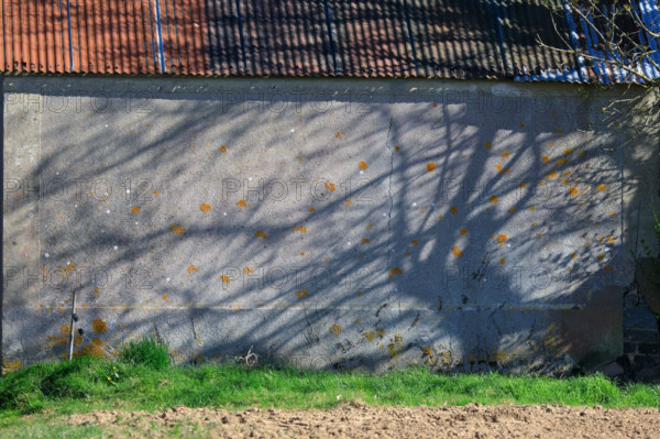 La Poterie-Cap d'Antifer, Seine-Maritime