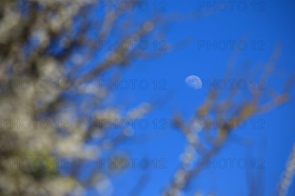 La Poterie-Cap d'Antifer, Seine-Maritime