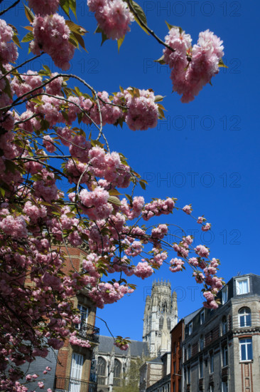 Rouen, Seine-Maritime