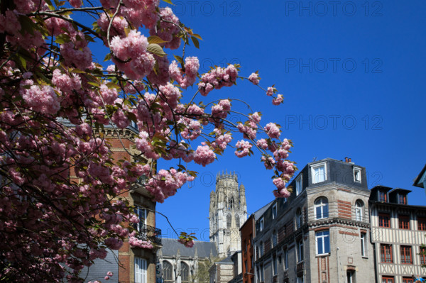 Rouen, Seine-Maritime