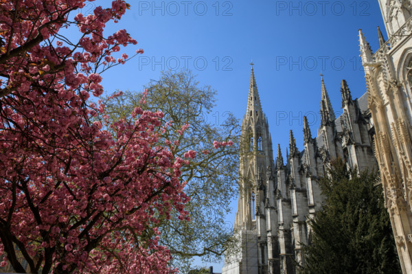 Rouen, Seine-Maritime