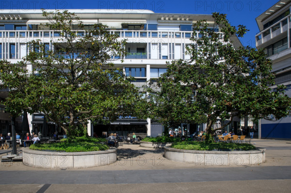 Rouen, Seine-Maritime