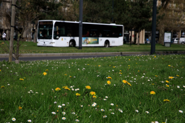 Le Havre, Seine-Maritime