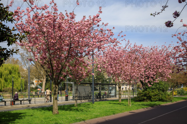 Le Havre, Seine-Maritime