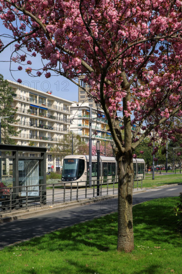 Le Havre, Seine-Maritime