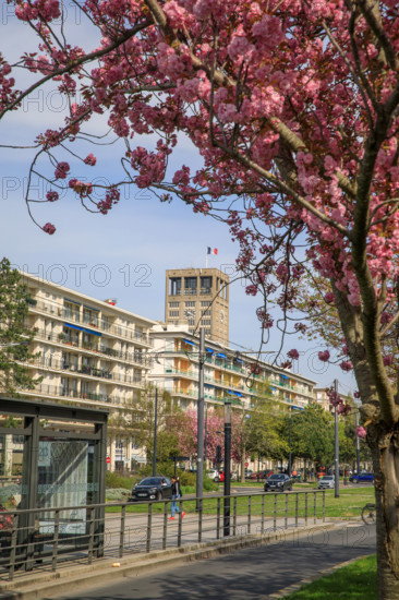 Le Havre, Seine-Maritime