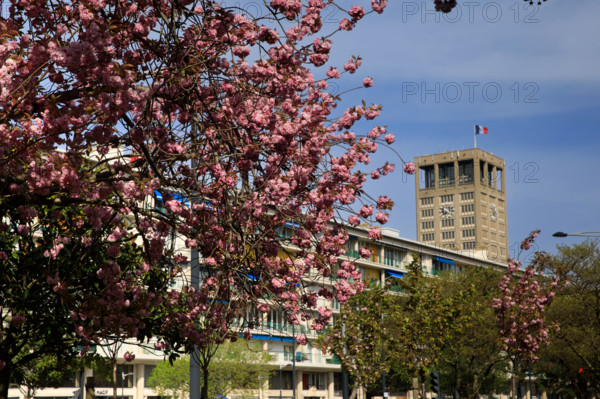 Le Havre, Seine-Maritime