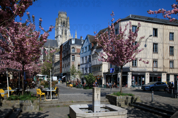 Rouen, Seine-Maritime