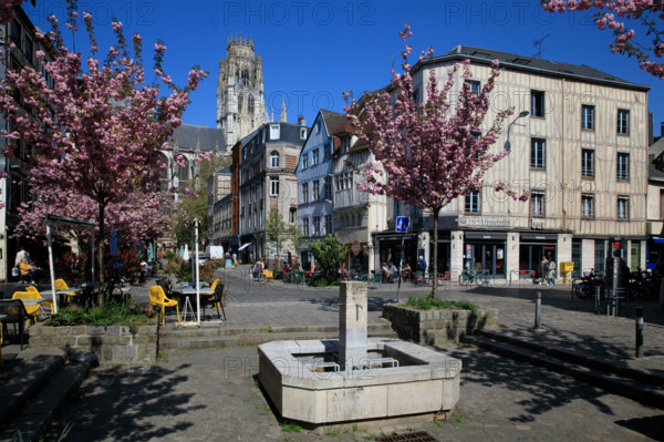Rouen, Seine-Maritime