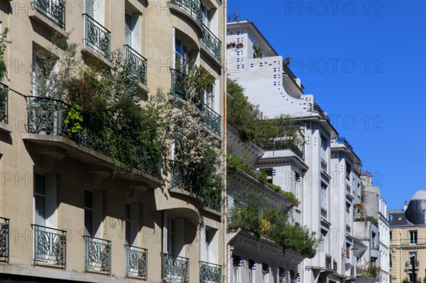 Paris, rue Vavin