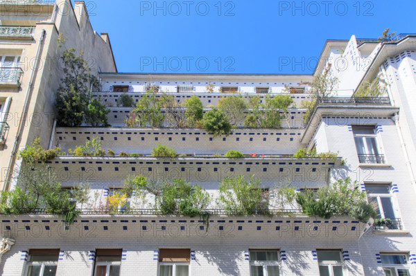 Paris, 26 rue Vavin