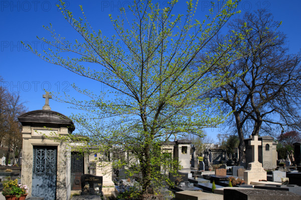 Paris, cimetière du Montparnasse