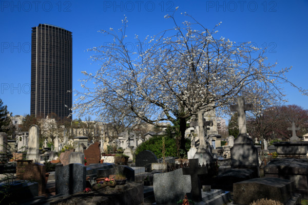 Paris, cimetière du Montparnasse